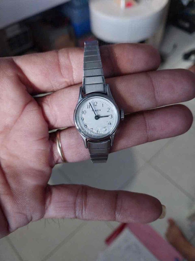 đồng hồ timex