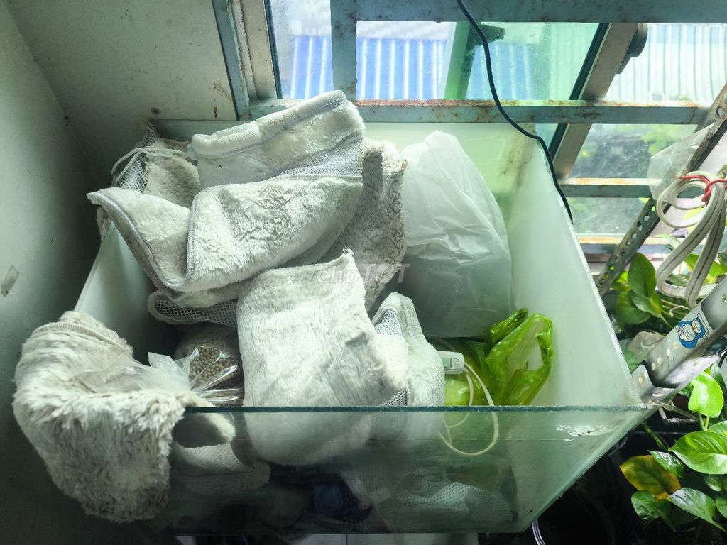 Hồ cá Kính 40x40x40cm Trắng. Mua bán Phụ kiện, Thức ăn, Dịch vụ tại Quận Bình Tân Tp Hồ Chí Minh được đăng bởi phong hình 1
