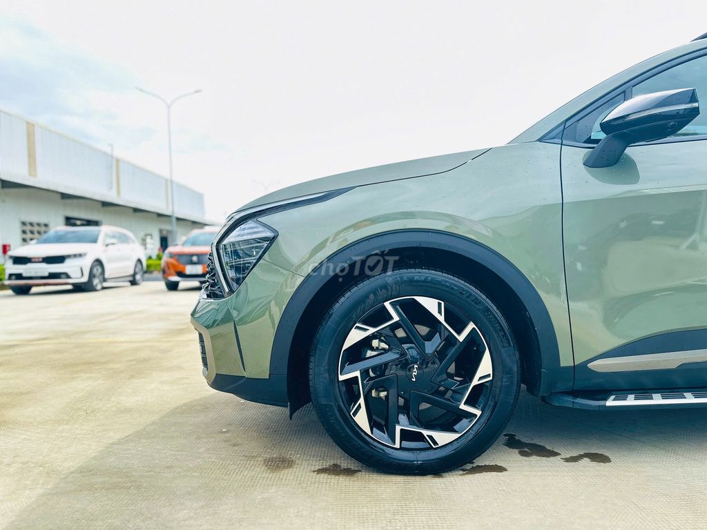 Ảnh số 6