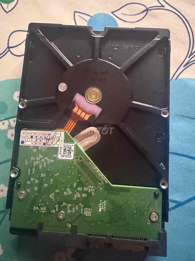 Ổ cứng HDD WD 3TB Xanh it dùng hết bảo hành.. Mua bán Linh kiện (RAM, Card...) tại Quận Bình Thạnh Tp Hồ Chí Minh được đăng bởi Chuyen Do Cong Nghe hình 1