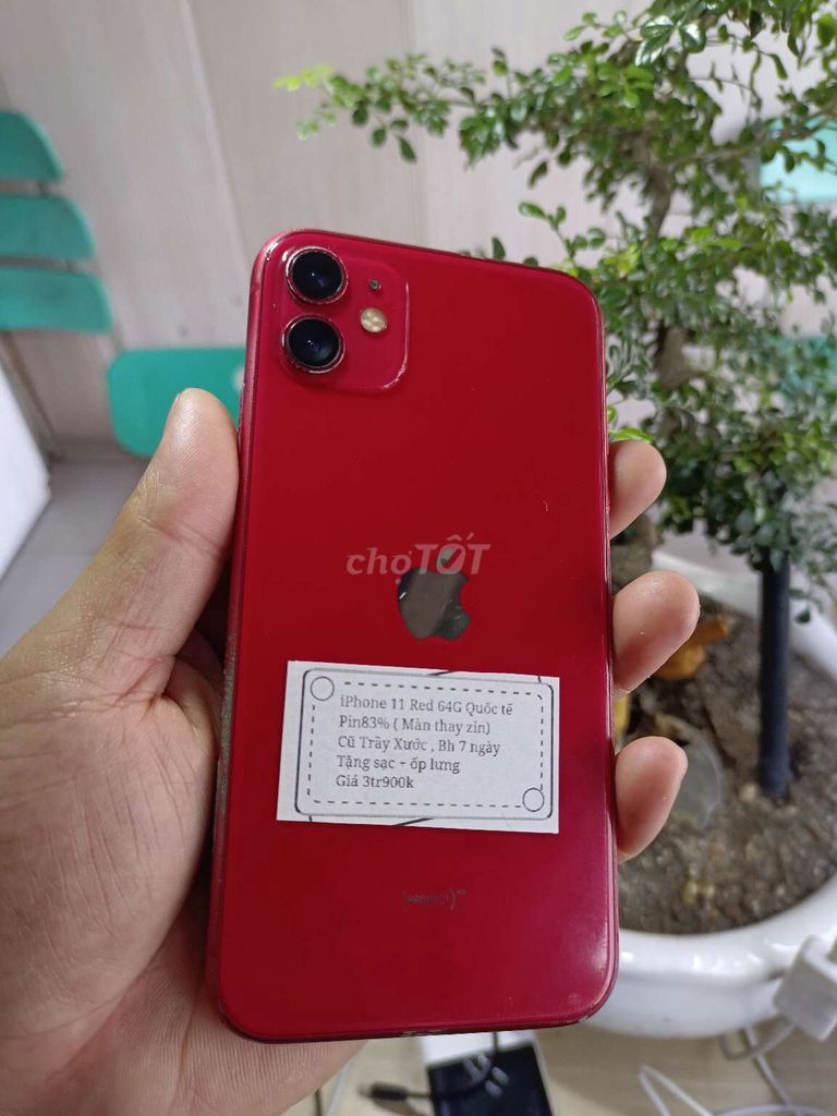 iPhone 11 Đỏ 64G Pin83% Vỏ xấu. Mua bán Điện thoại tại Huyện Trảng Bàng Tây Ninh được đăng bởi Sun Mobile Shop Điện Thoại Trảng Bàng Tây Ninh 01 hình 1