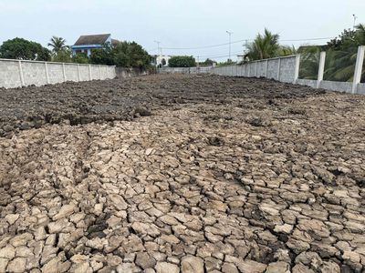 Đất mặt tiền vành đai TP Tân An/ TL834B/ Khu dân cư đông / Không ngập.