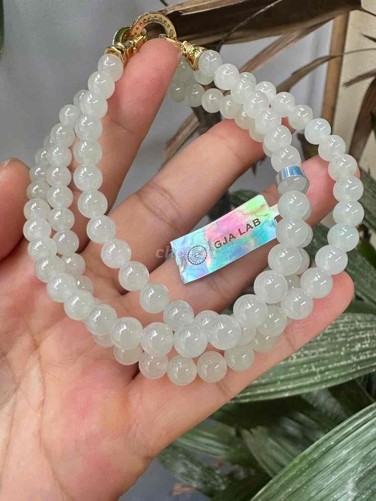 bạch quang 6 li kèm 2 kiểm định việt trung