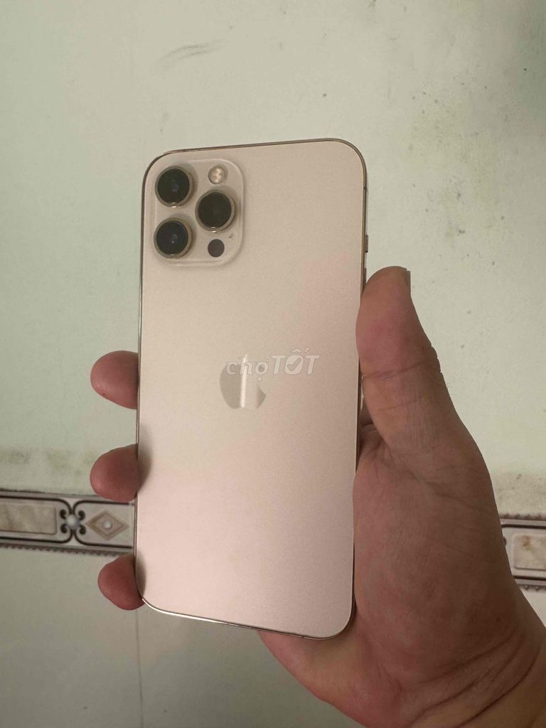iPhone 12 Pro Max 256GB Vàng Đã sử dụng. Mua bán Điện thoại tại Quận Ninh Kiều Cần Thơ được đăng bởi tran hung phat hình 1