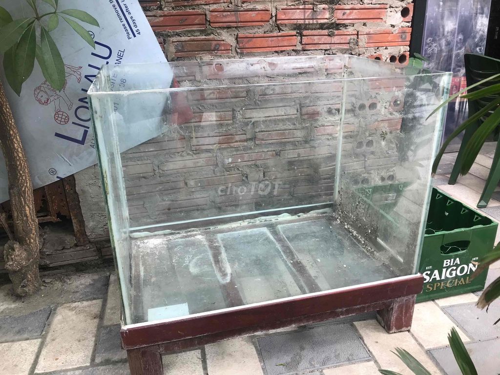 bán rẻ bể cá Kính kèm chân gỗ 80x50x55 cm. Mua bán Phụ kiện, Thức ăn, Dịch vụ tại Quận Tây Hồ Hà Nội được đăng bởi Toàn galaxy hình 1
