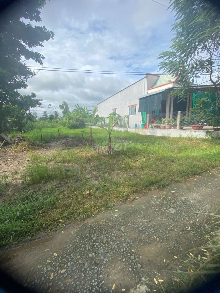 BÁN ĐẤT CHUYỂN TRỒNG LÚA – XÃ TRUNG THÀNH, VŨNG LIÊM, VĨNH LONG 589M2