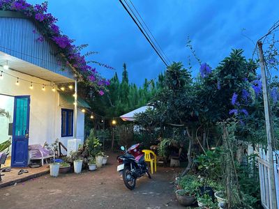 Chính chủ cho Thuê Nhà và Đất. Cho thuê đất tại Huyện Lâm Hà Lâm Đồng được đăng bởi Lâm