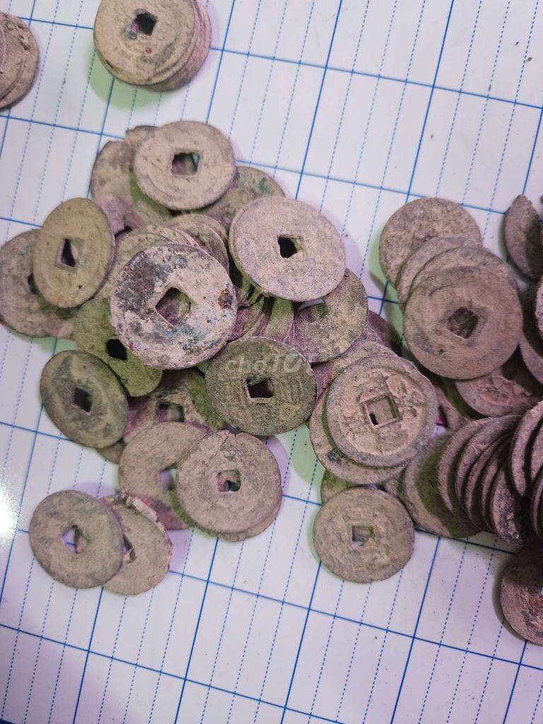 100 xu cổ triều Nguyễn Việt Nam bao kiểm định