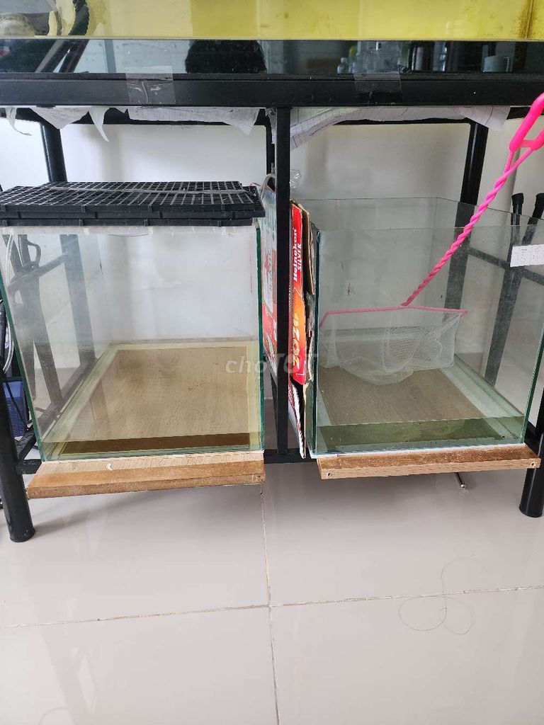 Hồ cá kính 40x30x30cm. Mua bán Phụ kiện, Thức ăn, Dịch vụ tại Quận 6 Tp Hồ Chí Minh được đăng bởi Bùi Thanh Phương hình 1