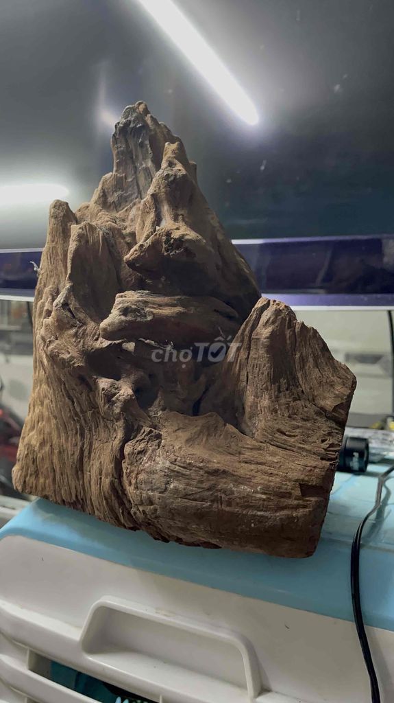 Lũa gỗ trưng bày phòng khách thơm tự nhiên