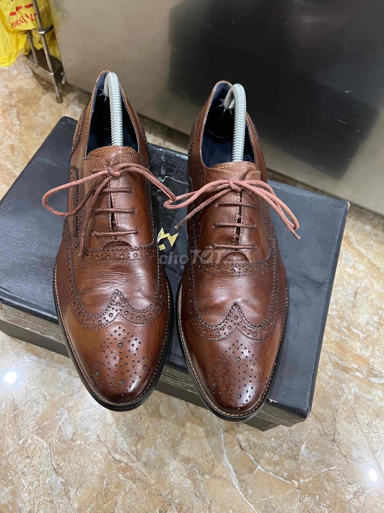 giày oxford wingtip alessandro luigi sỉze 41