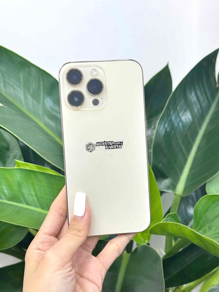 Iphone 14 Promax 512Gb Vàng - Hỗ trợ trả góp. Mua bán Điện thoại tại Thành phố Mỹ Tho Tiền Giang được đăng bởi Hoàng Thành Apple hình 1