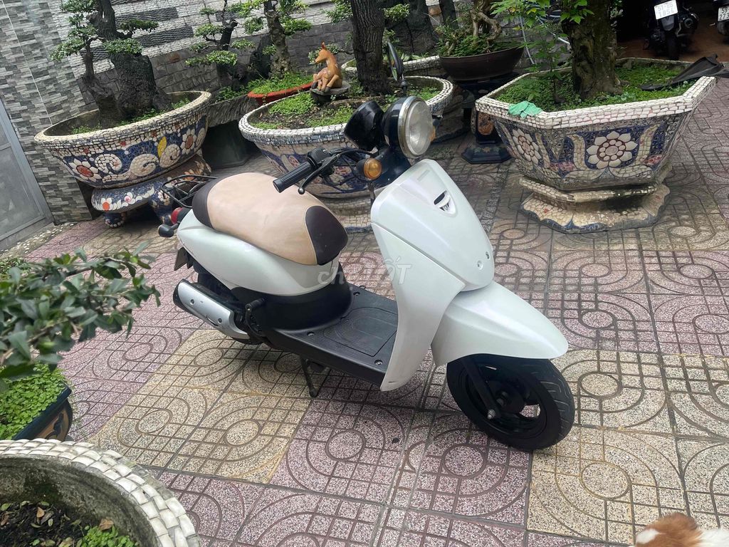 Bán xe Scoopy 50cc,Bst29 đời 2017,xe đẹp Gtdd. Mua bán Xe máy tại Quận Bình Thạnh Tp Hồ Chí Minh được đăng bởi Nguyễn hoàng thiện hình 3