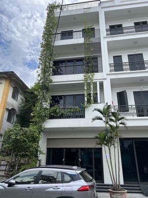 Cho thuê nhà nguyên căn phố Quán Nam. Cho thuê nhà ở tại Quận Ngô Quyền Hải Phòng được đăng bởi Nguyễn Văn Huy