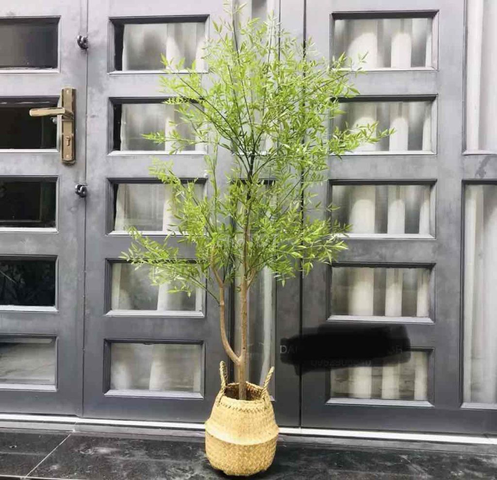 Cây giả Nam Thiên Trúc 1m2. Mua bán Cây cảnh, đồ trang trí tại Quận 3 Tp Hồ Chí Minh được đăng bởi Phi Cao Hồng hình 1