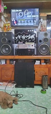 loa Kenwood bass 25. Mua bán Tivi, Âm thanh tại Quận 7 Tp Hồ Chí Minh được đăng bởi An Bình 