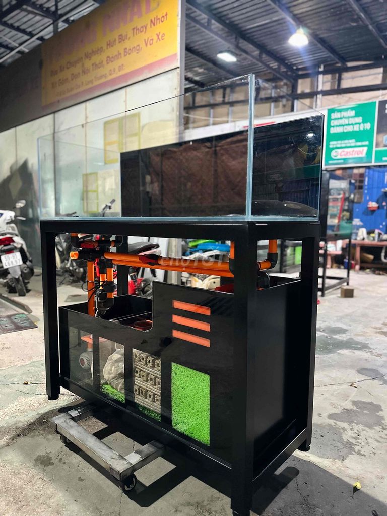 Hồ Cá. Mua bán Phụ kiện, Thức ăn, Dịch vụ tại Thành phố Thủ Đức Tp Hồ Chí Minh được đăng bởi PHAN DƯƠNG MẠNH hình 1