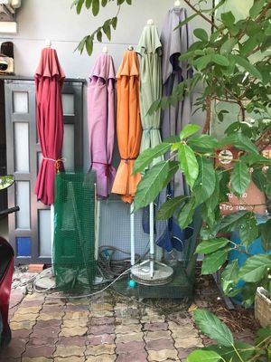 dù bán cà phê loại lớn 600 nghìn cây. Mua bán Nội thất, đồ gia dụng khác tại Quận 12 Tp Hồ Chí Minh được đăng bởi thanh
