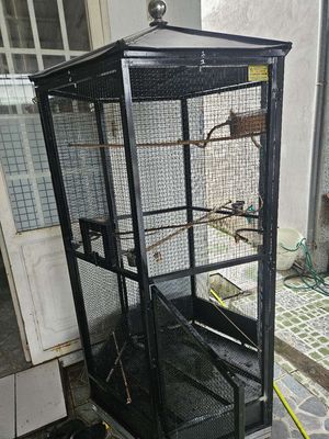 Lồng avi lục giác. Mua bán Phụ kiện, Thức ăn, Dịch vụ tại Quận Cái Răng Cần Thơ được đăng bởi Quốc Dũng