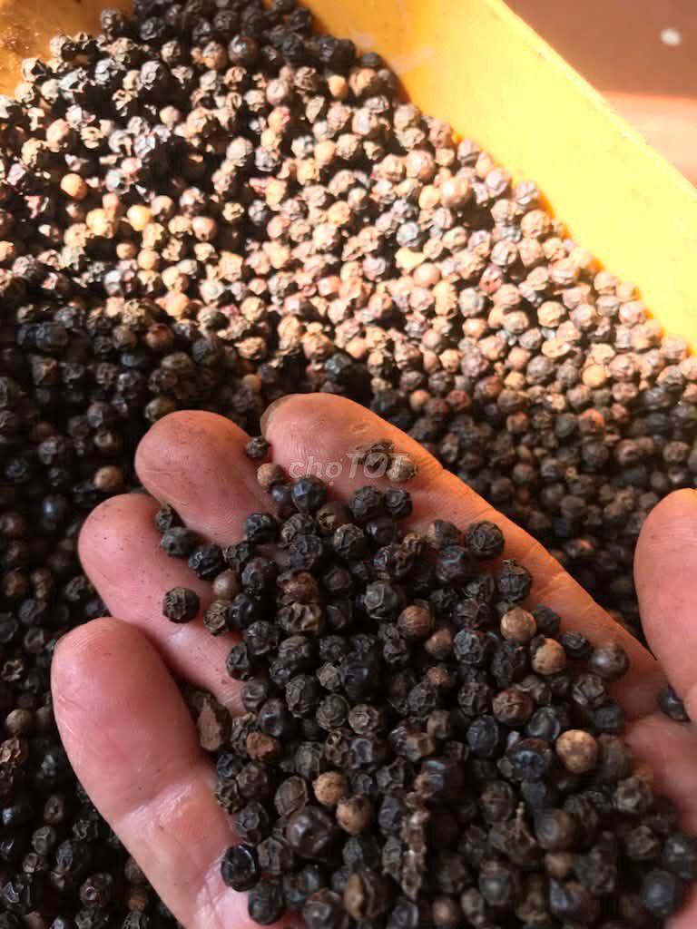 Tiêu sạch Buôn Ma Thuột 147k/kg. Mua bán Đồ ăn, thực phẩm và các loại khác tại Thành phố Buôn Ma Thuột Đắk Lắk được đăng bởi Hien Thao hình 1