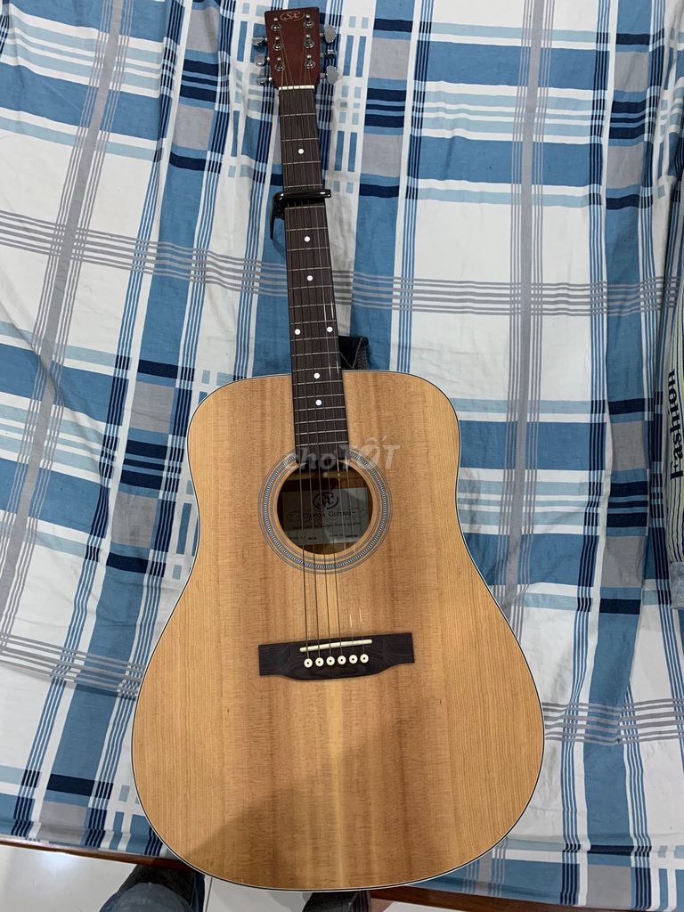 0902854599 - Đàn Guitar Acoustic SX
