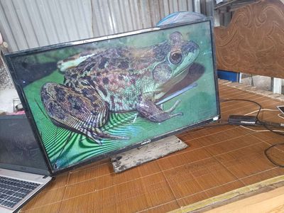 điện thoại,tivi như hình. Mua bán Điện thoại tại Huyện Hòa An Cao Bằng được đăng bởi Hoi Nguyen