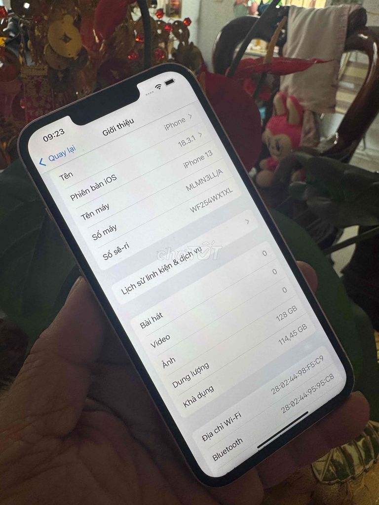 iPhone 13 128G hồng qte mỹ