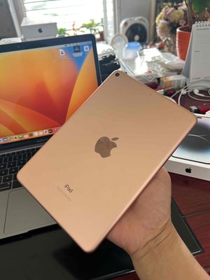 iPad Mini 5 64G wifi Màu Gold, đẹp