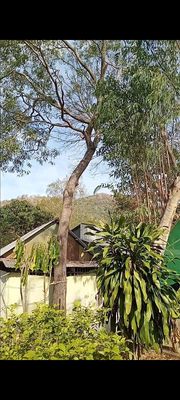 Đất Núi Sau Lưng KDL Điện Năng Lượng Mặt Trời An Hảo. Mua bán đất tại Huyện Tịnh Biên An Giang được đăng bởi Phát Đạt