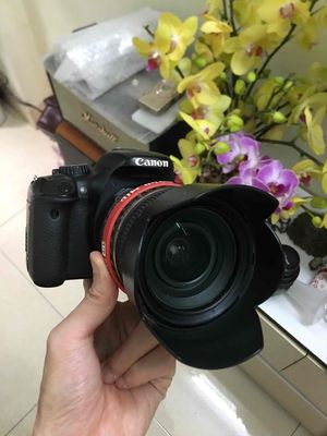 Canon 550D kèm lens tamron 17-50 f2.8