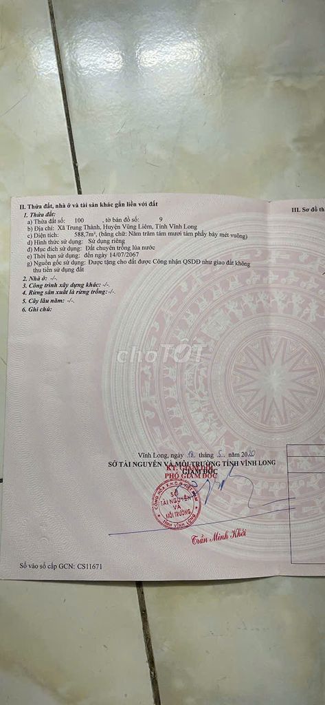 BÁN ĐẤT CHUYỂN TRỒNG LÚA – XÃ TRUNG THÀNH, VŨNG LIÊM, VĨNH LONG 589M2