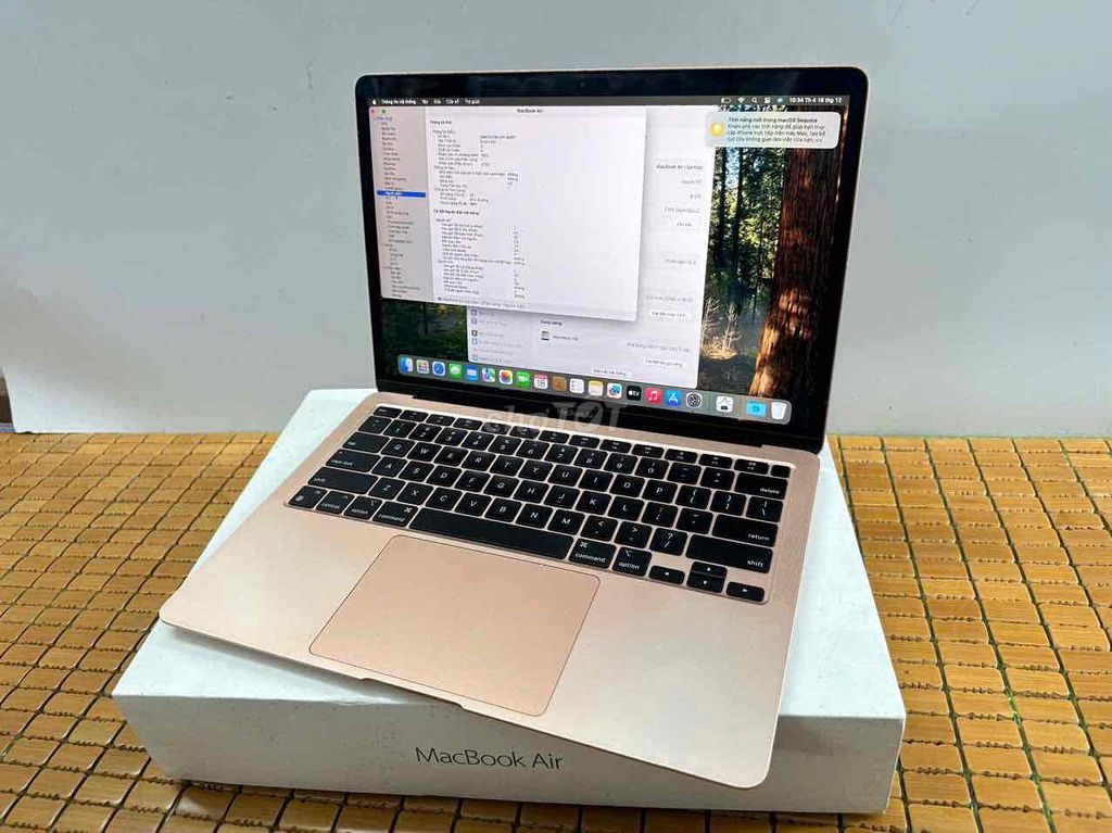 MacBook Air M1 Rose Zin Đẹp 97% 8/256 13,3retina2k