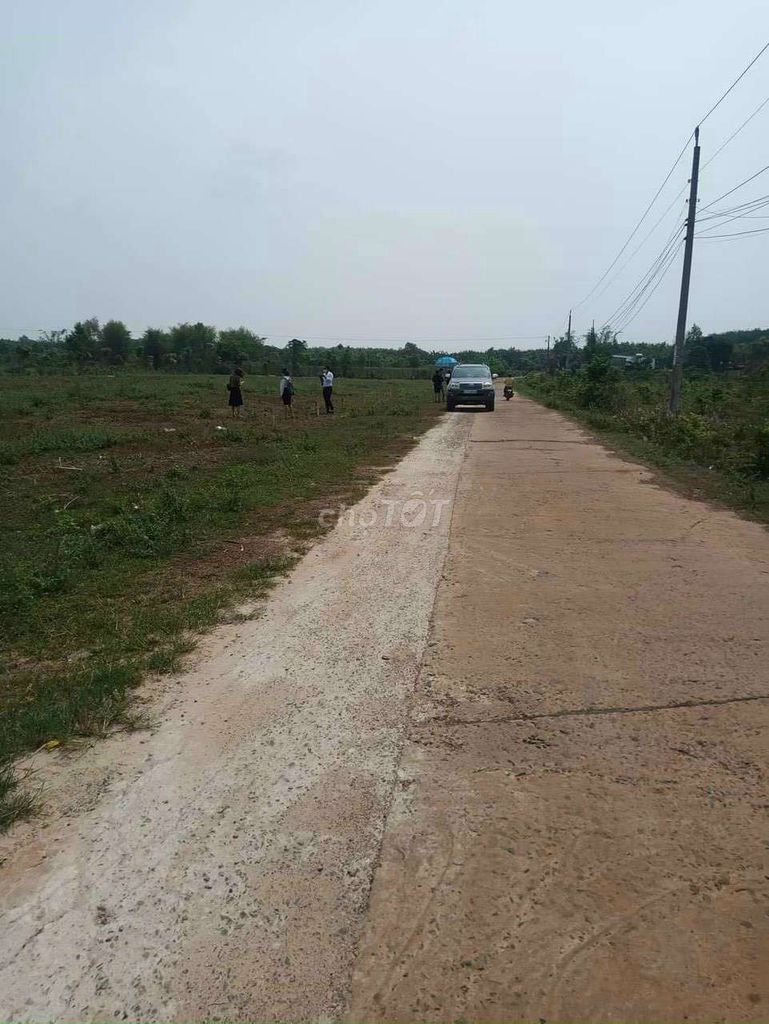 Bán đất gần khu công nghiệp Bình Sơn