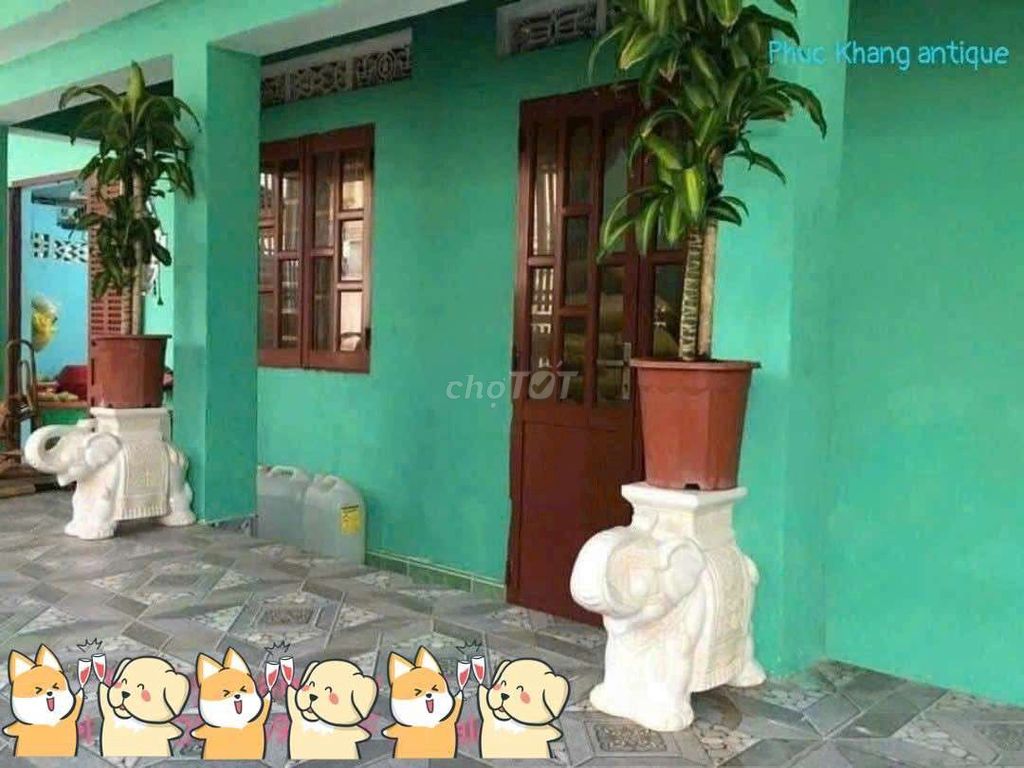 Đôn Voi Biên Hòa ( Bạch Tượng ) 🐘🐘🐘