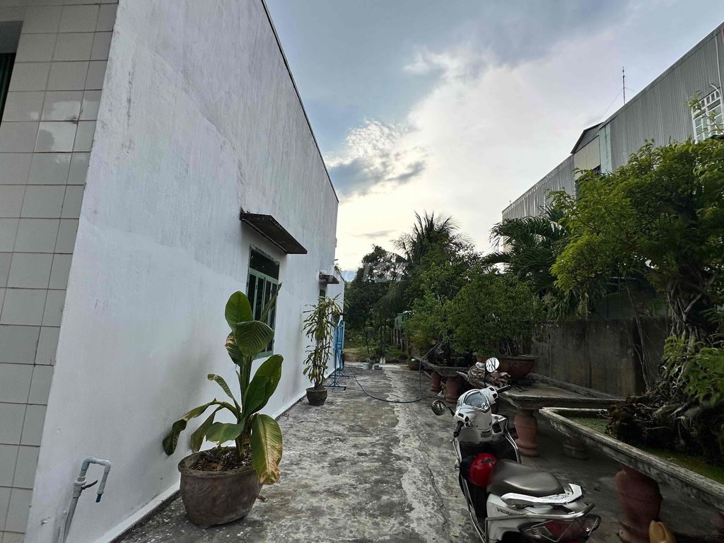 Nhà mặt tiền 12x50 giá tốt tại vân canh Nhà mặt tiền 12x50 giá tốt tại vân canh