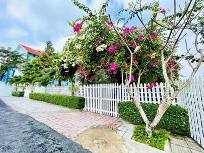 🌿 Đất Full Thổ Cư, Đất Rộng Vị Trí Đẹp Hiếm Có Tại Phước Vĩnh An🌳