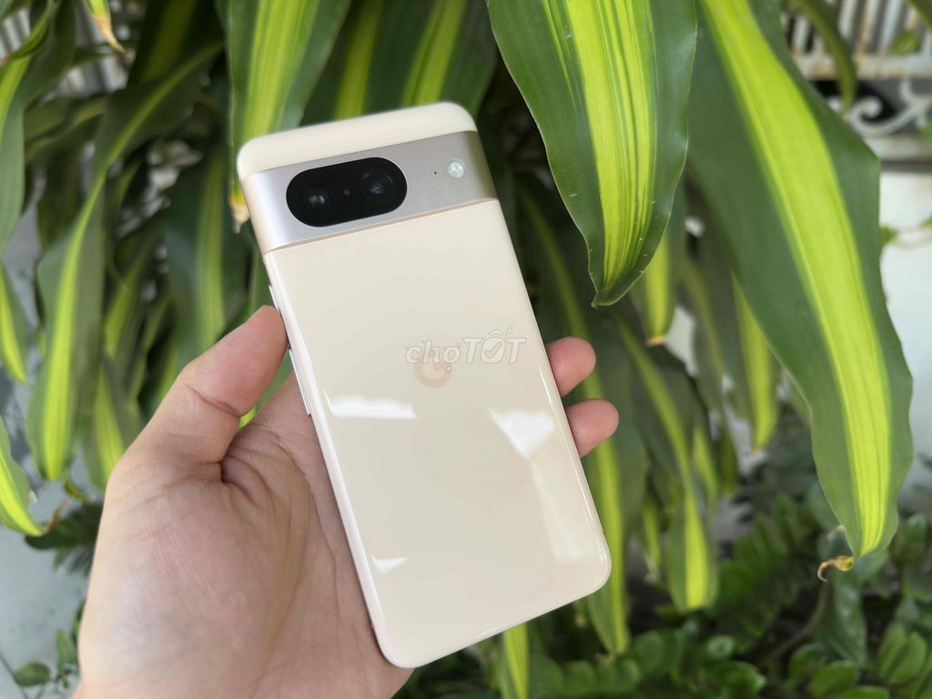 Google Pixel 8 8Gam 128GB ken 99. Mua bán Điện thoại tại Quận Ninh Kiều Cần Thơ được đăng bởi ĐIỆN THOẠI GIÁ TỐT UY TÍN  hình 1