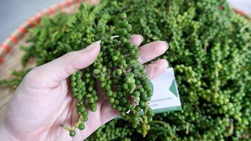 Gia vị tươi cay nồng. Mua bán Đồ ăn, thực phẩm và các loại khác tại Huyện Gia Lâm Hà Nội được đăng bởi Trần hình 1