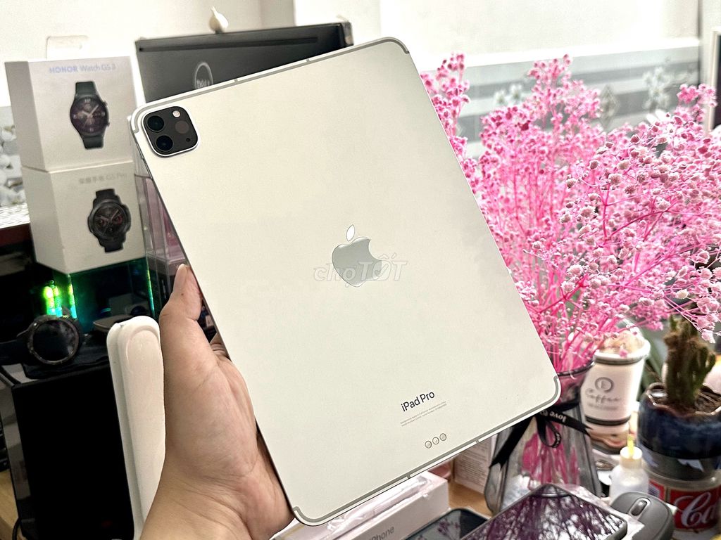 iPad Pro M2 11inch silver 256Gb 5G - zin99% pin96%