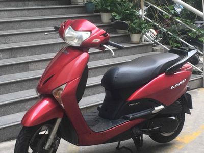 Lead đỏ đen bstp