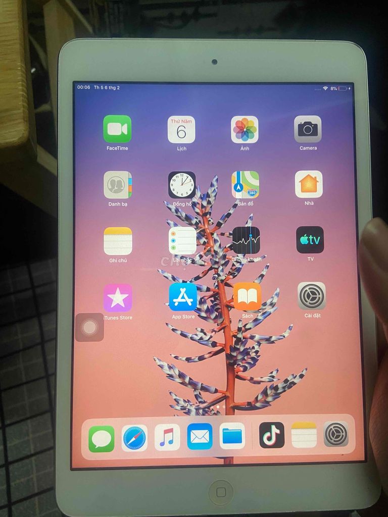 Ipad Mini 2 | 128gb | Như hình