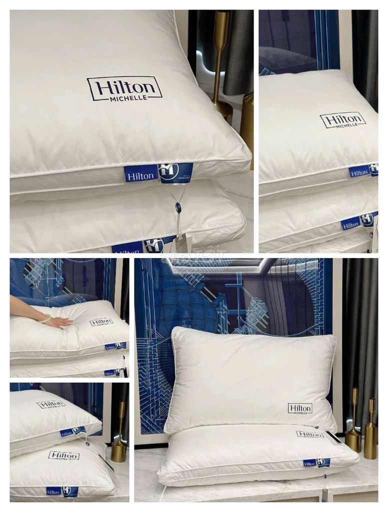 Ruột gối hilton 299k/2c 580k/4c