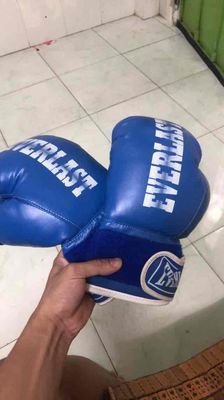 Găng tay boxing Everlast, xanh dương. Mua bán Đồ thể thao, Dã ngoại tại Quận 7 Tp Hồ Chí Minh được đăng bởi Lý Công Vinh