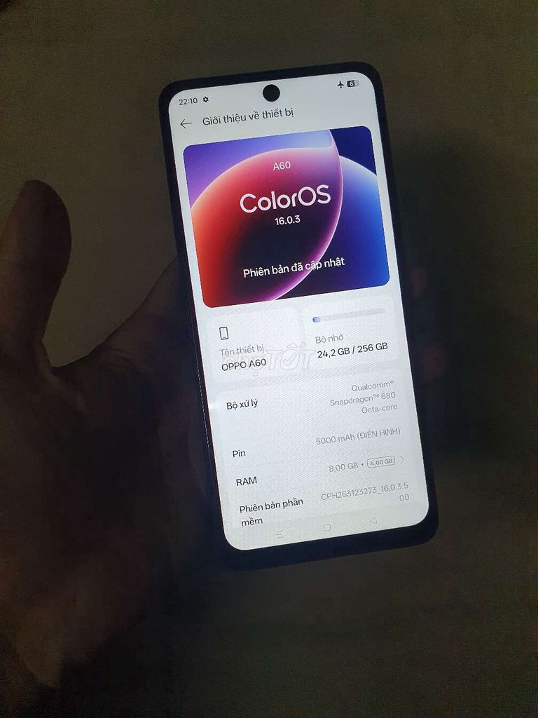OPPO A60 256GB Tím. Mua bán Điện thoại tại Quận Tân Phú Tp Hồ Chí Minh được đăng bởi dung hình 1