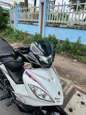 1s9a full 2010 Trắng đen