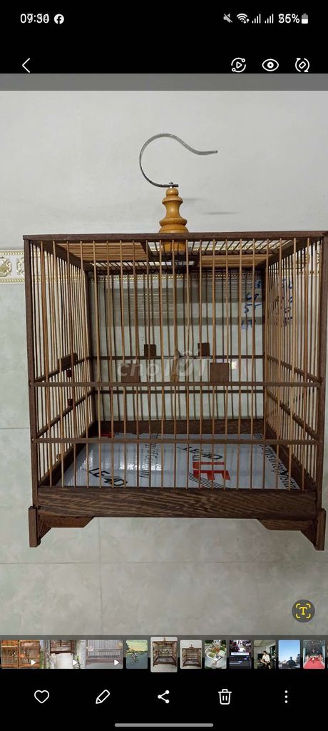 Lồng chim gỗ màu nâu mới. Mua bán Phụ kiện, Thức ăn, Dịch vụ tại Huyện Long Hồ Vĩnh Long được đăng bởi Thanh Trung hình 1
