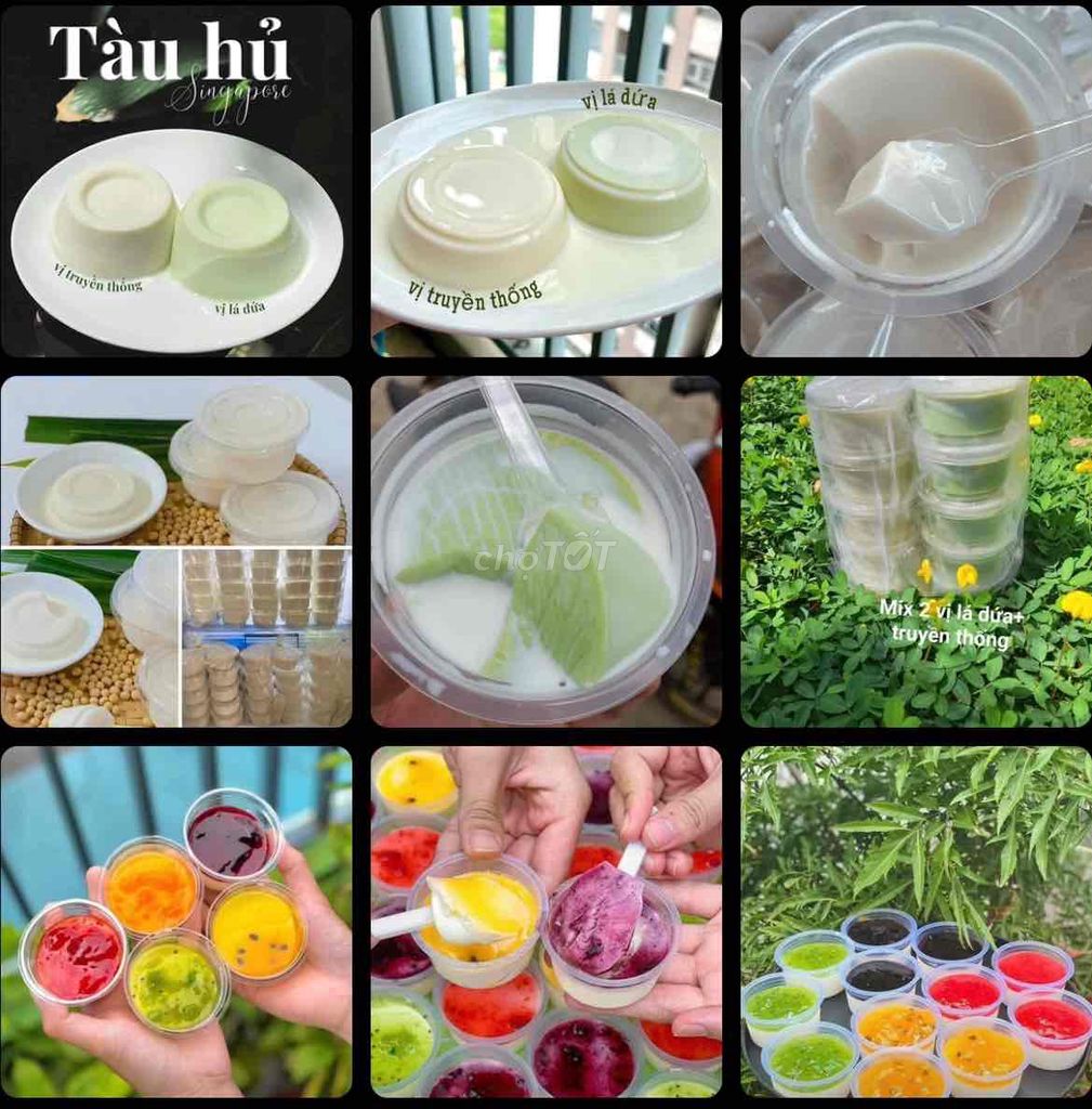 SỈ LẺ SỮA CHUA TÀU HỦ SING PANNA COTTA YAOURT