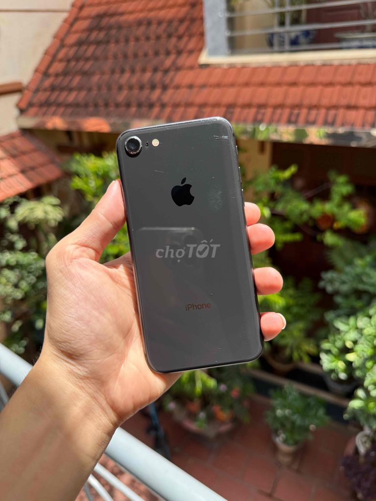 iPhone 8 Qte 64Gb zin all, full chức năng. Mua bán Điện thoại tại Quận Bắc Từ Liêm Hà Nội được đăng bởi Hari Phan hình 1