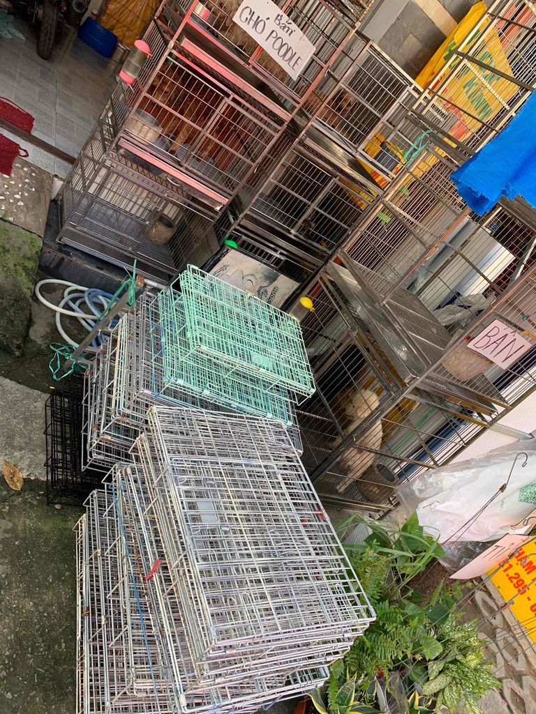 Chuồng chó mèo💚thanh lý 💕❤️ mua 5 tặng 1. Mua bán Phụ kiện, Thức ăn, Dịch vụ tại Quận 8 Tp Hồ Chí Minh được đăng bởi Cửa Hàng Thanh Lý Đồ Cũ Mới hình 1