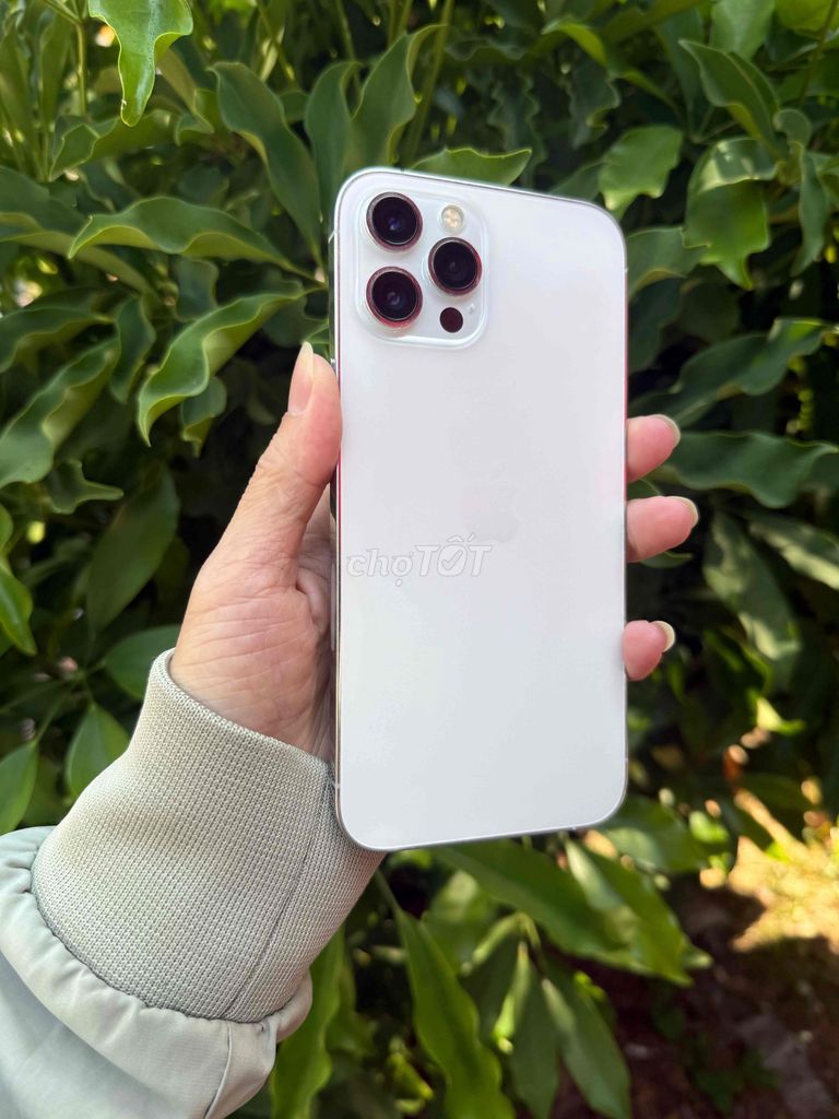 Apple iPhone 12 Pro Max 256GB 98% zin áp. Mua bán Điện thoại tại Thành phố Buôn Ma Thuột Đắk Lắk được đăng bởi Nguyễn Tâm hình 1